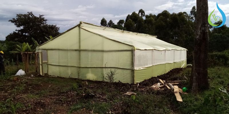 Wooden Greenhouses in Kenya