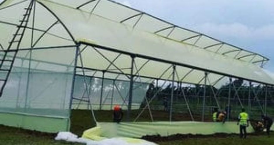 Types of Greenhouses in Kenya