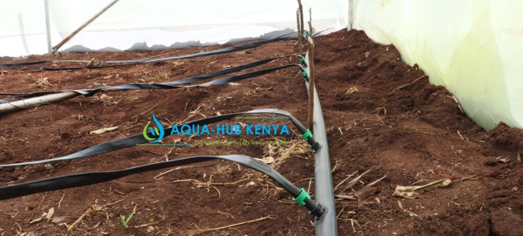 Irrigation Pipes in Kenya