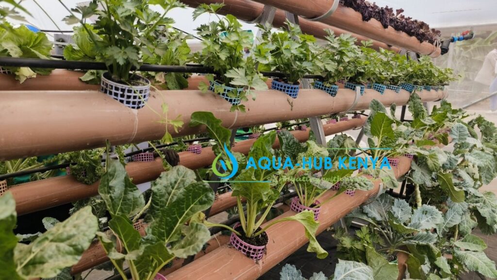 Hydroponic Systems for Sale