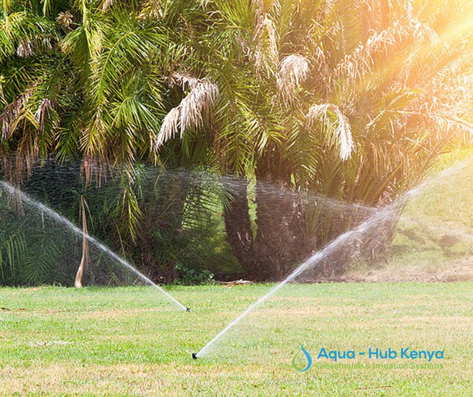 Lawn Sprinklers in Kenya