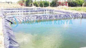 1mm Dam Liners in Kenya