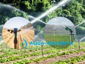 Sprinklers for Irrigation in Kenya