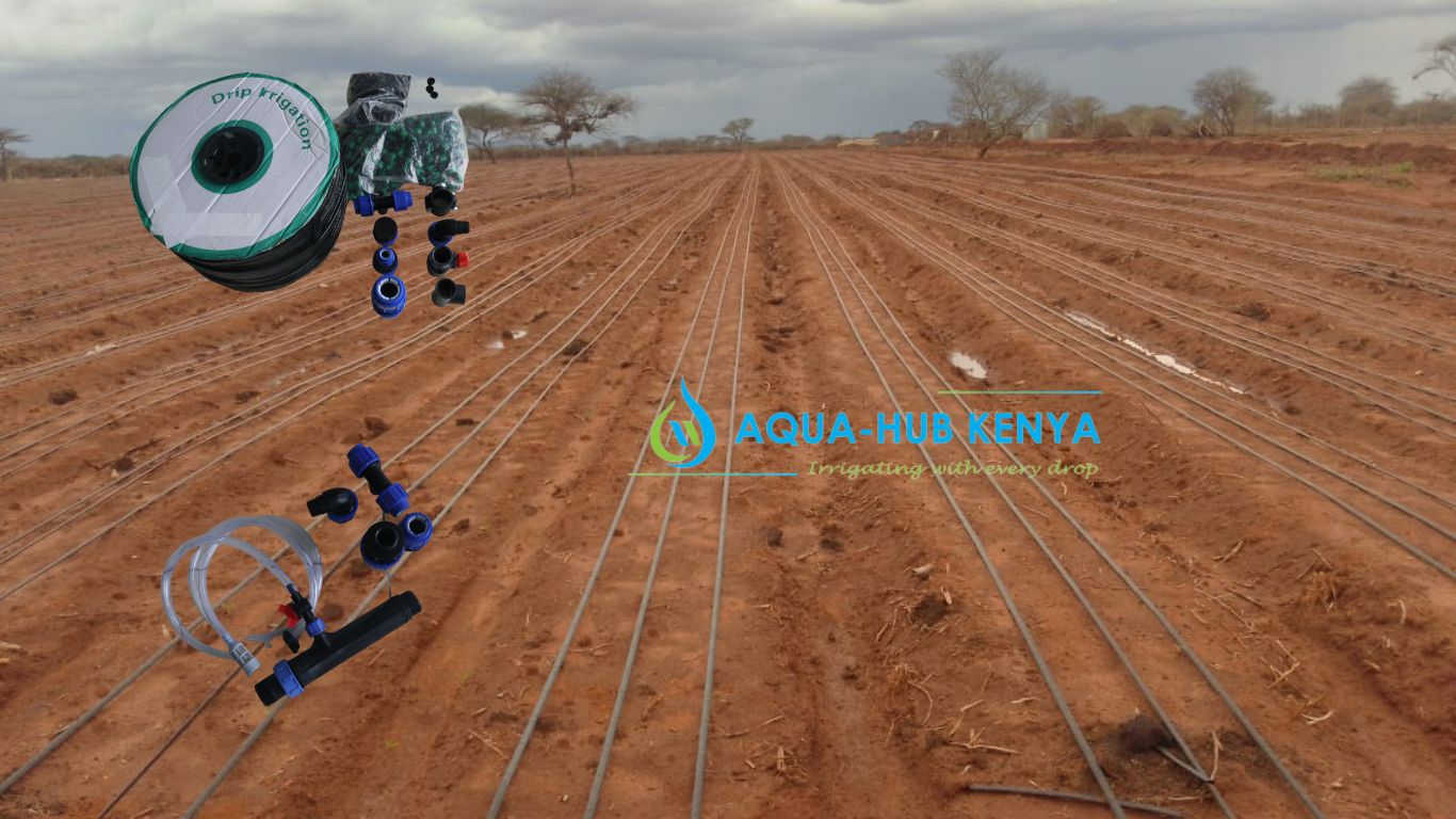 Driplines for Irrigation in Kenya