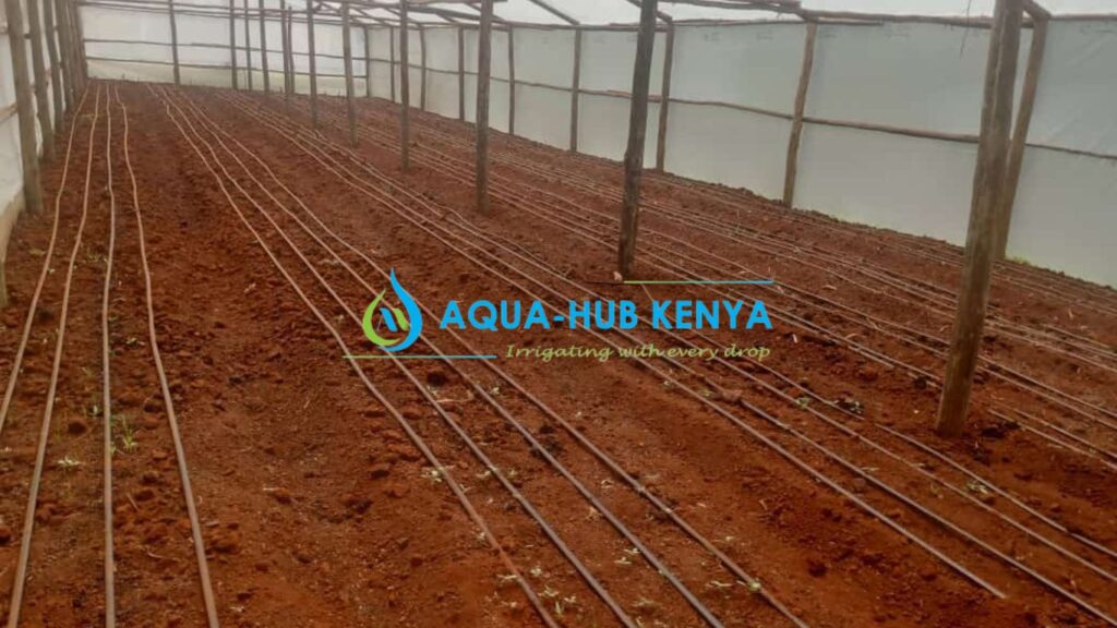 Driplines for Irrigation in Kenya