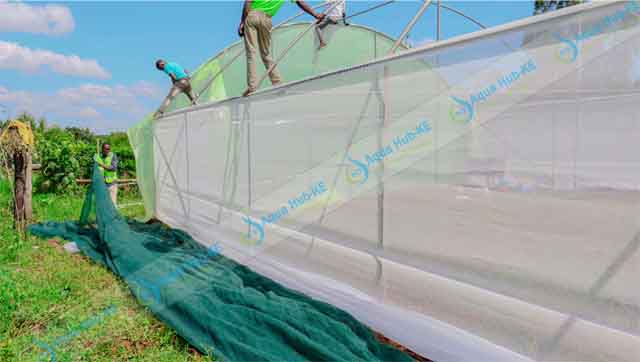 which Greenhouse size to Construct?