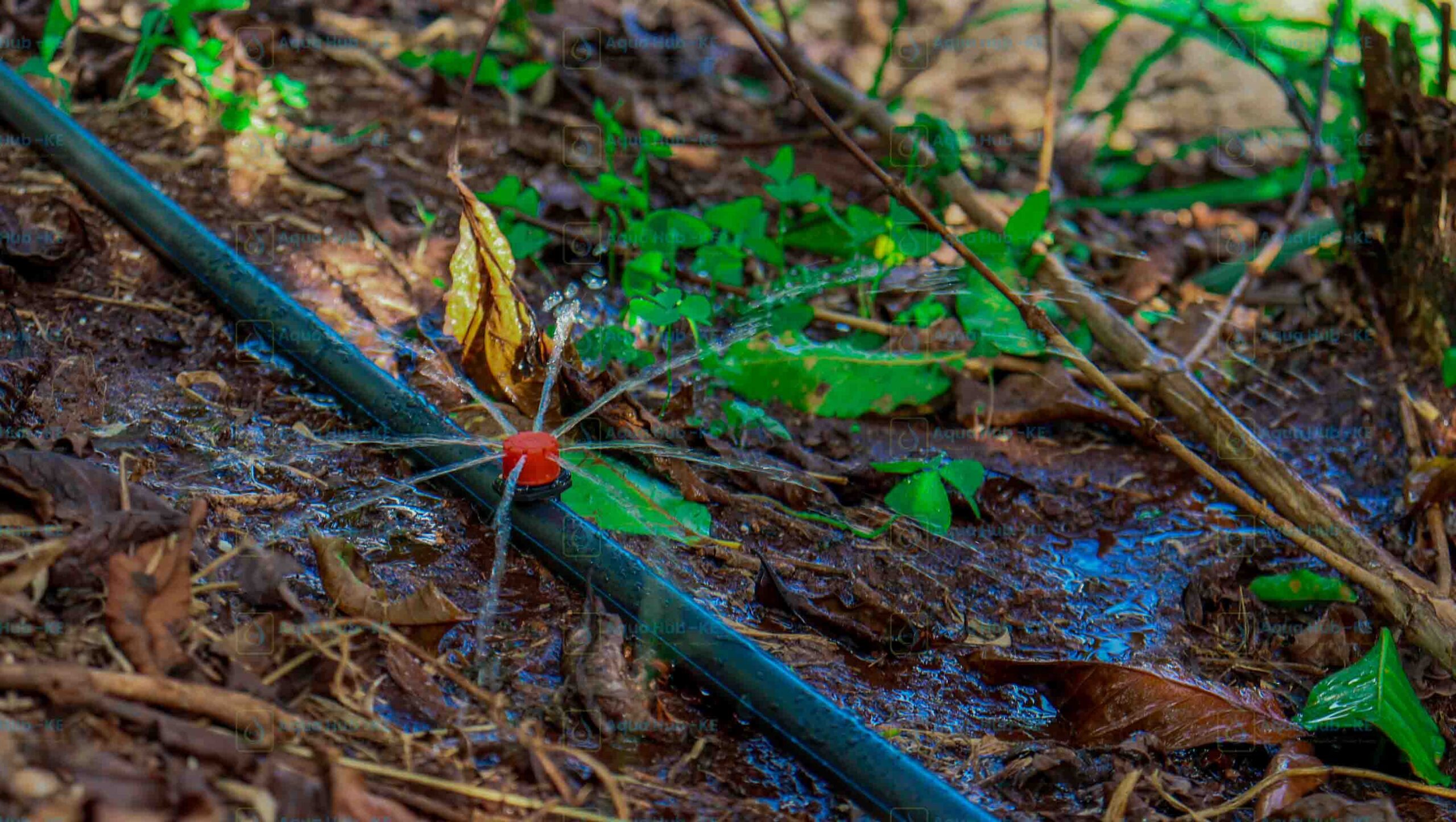 right irrigation system