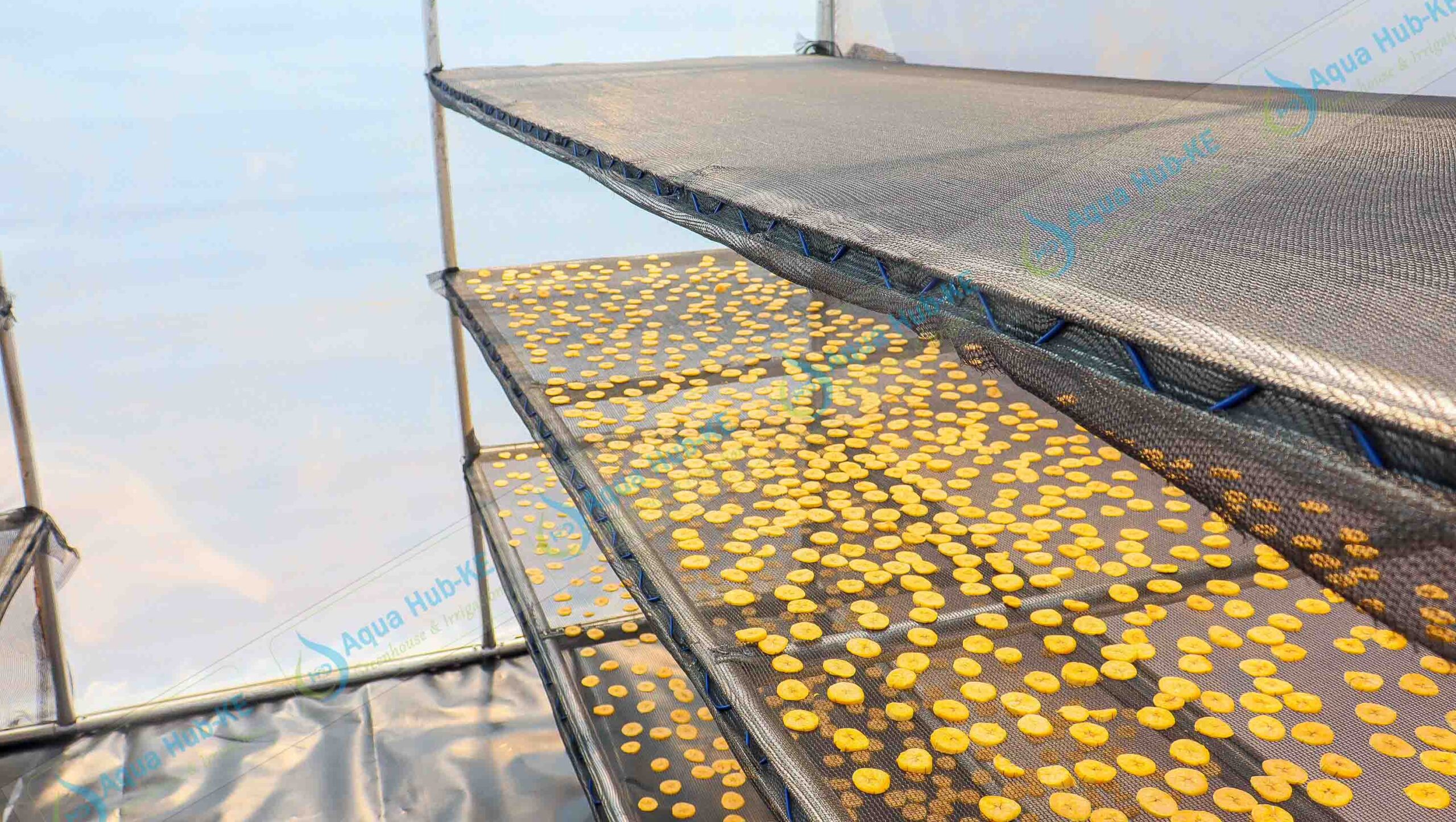 Solar Dryer Price in Kenya
