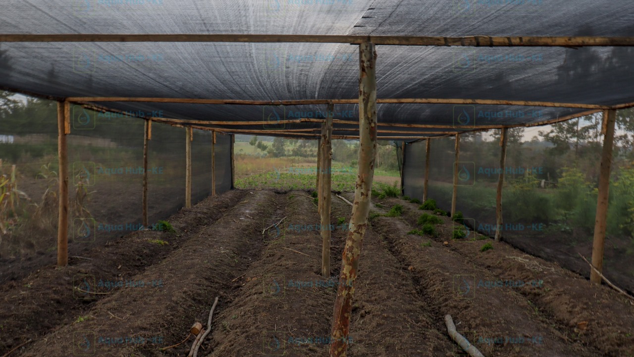 Shade net Material Cost