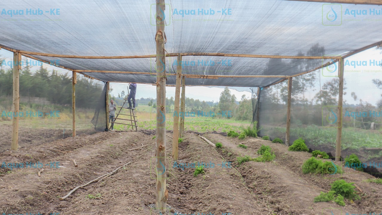 Shade Nets for Sale