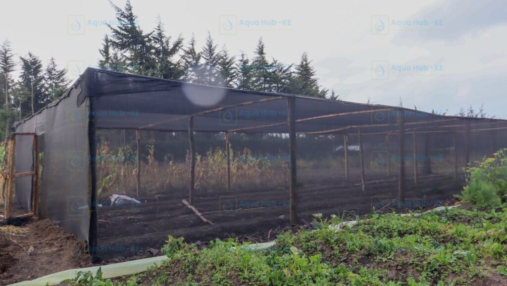 Shade Nets for Sale