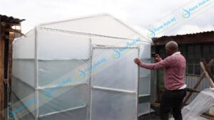 Food drying