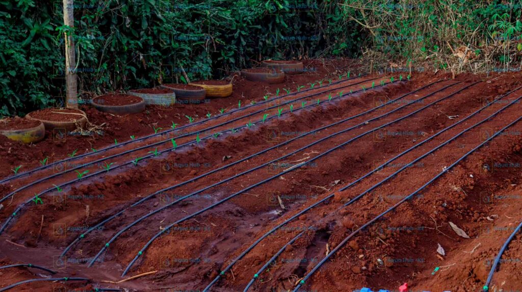 Irrigation Pipes