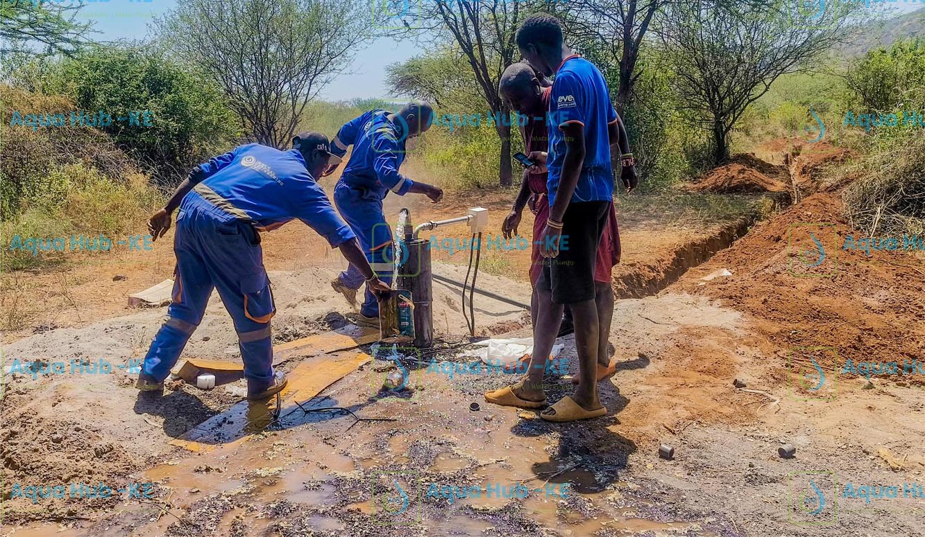 Submersible Well Pump