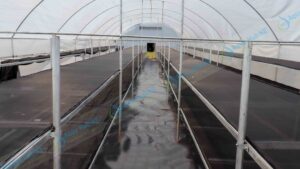 Solar Dryers for Vegetables