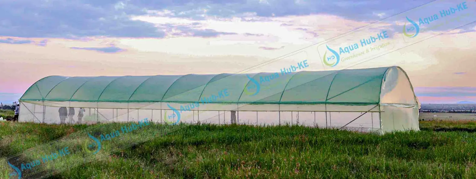 Greenhouse prices in Kenya