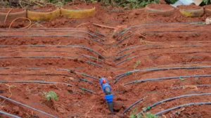 drip Irrigation fittings