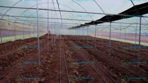 Greenhouse Construction Kit in Kenya