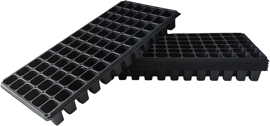 Germination trays in Kenya
